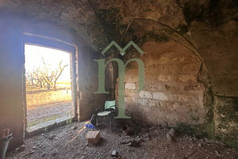 Ruinere i Brindisi, Brindisi, Brindisi - € 68.000 | Ref: Casolare Bern - foto 32